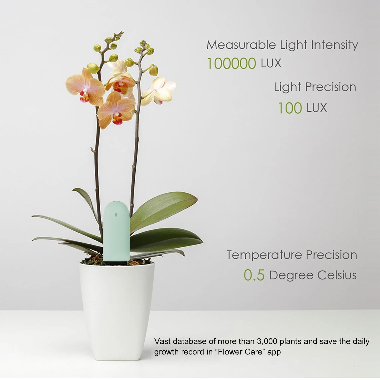 Smart Plant Soil & Water Monitor – Flower & Garden Care Sensor for Xiaomi