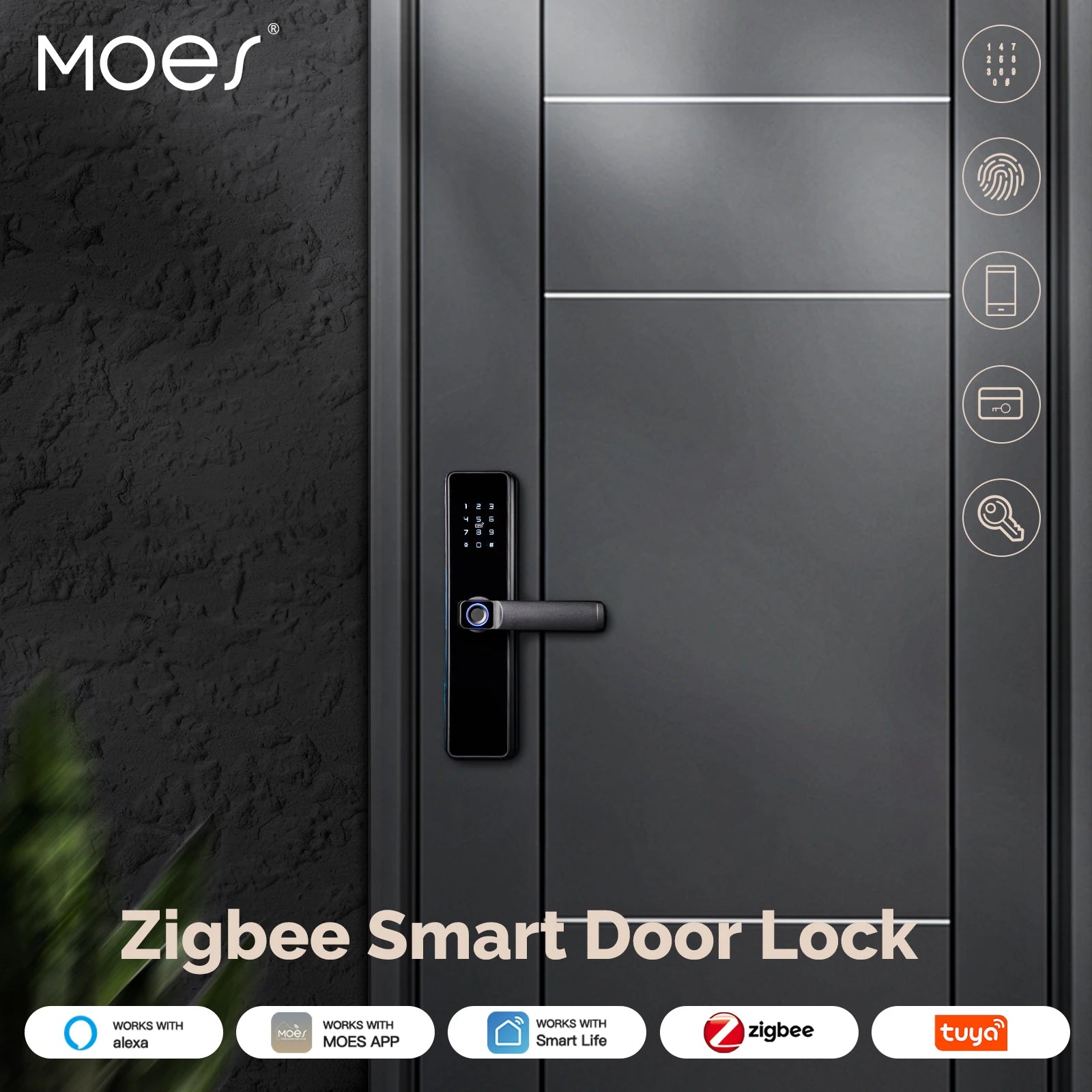 MOES Smart Door Lock – Fingerprint, Passcode & Remote Access with Alexa